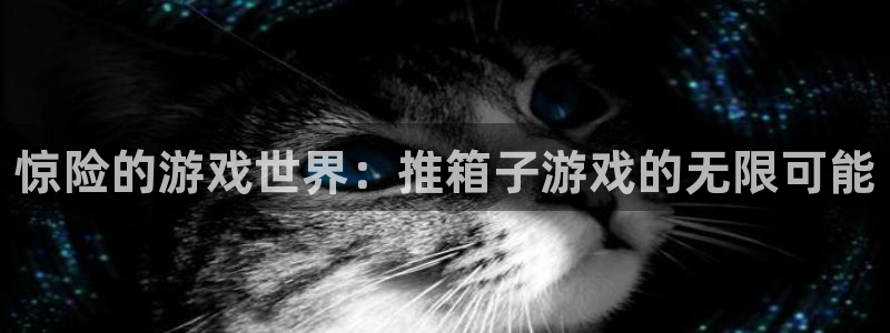 db电竞品牌策划公司：惊险的游戏世界：推箱子游戏的无限可能