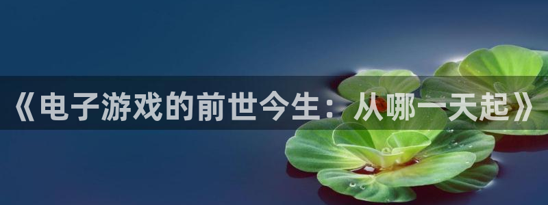 db电竞子写作课：《电子游戏的前世今生：从哪一天起》