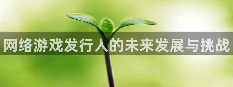 db电竞子书单：网络游戏发行人的未来发展与挑战
