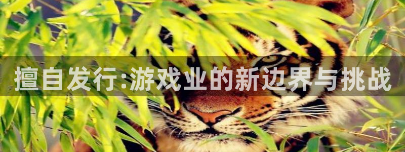 db电竞仓储中心：擅自发行:游戏业的新边界与挑战