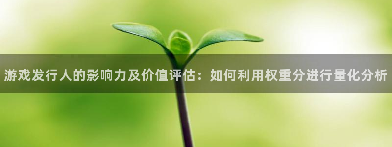 广州db电竞足球俱乐部：游戏发行人的影响力及价值评估：如何利用权重分进行量化分析