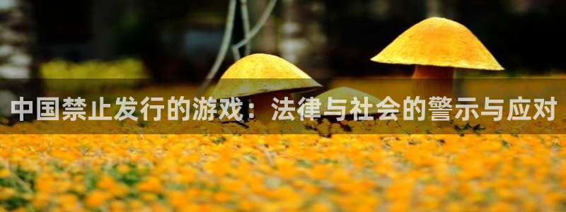 db电竞电子商务有限公司电话：中国禁止发行的游戏：法律与社会的警示与应对