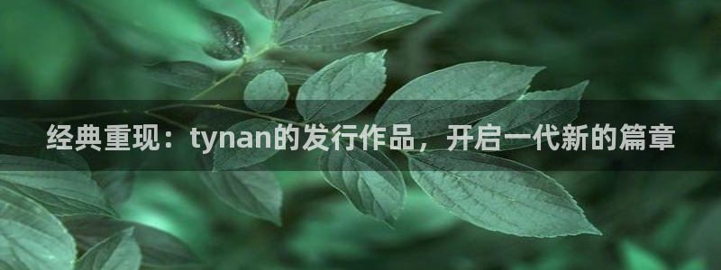 db电竞子经理人：经典重现：tynan的发行作品，开启一代新的篇章