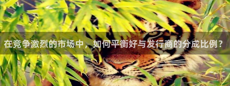 db电竞子出版社董事长：在竞争激烈的市场中，如何平衡好与发行商的分成比例？