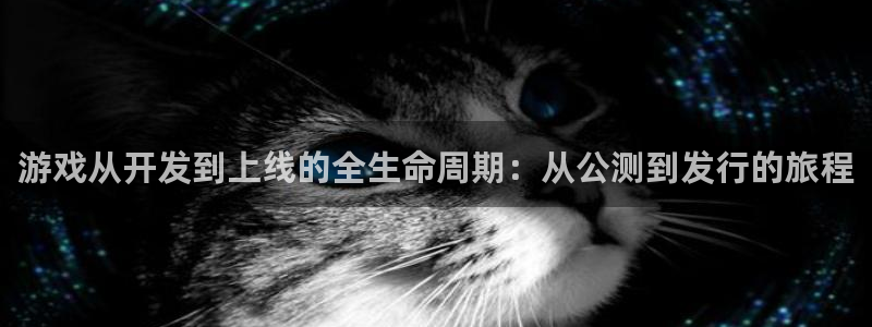 db电竞电子商务怎么样：游戏从开发到上线的全生命周期：从公测到发行的旅程