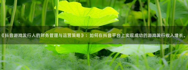 db电竞官网登录注册账号失败怎么办：《抖音游戏发行人的财务管理与运营策略》：如何在抖音平台上实现成功的游戏发行收入增长。