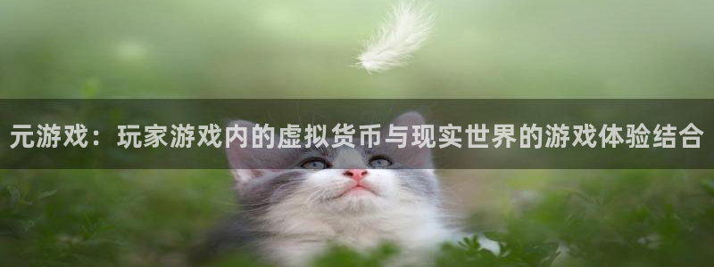 db电竞是什么品牌：元游戏：玩家游戏内的虚拟货币与现实世界的游戏体验结合