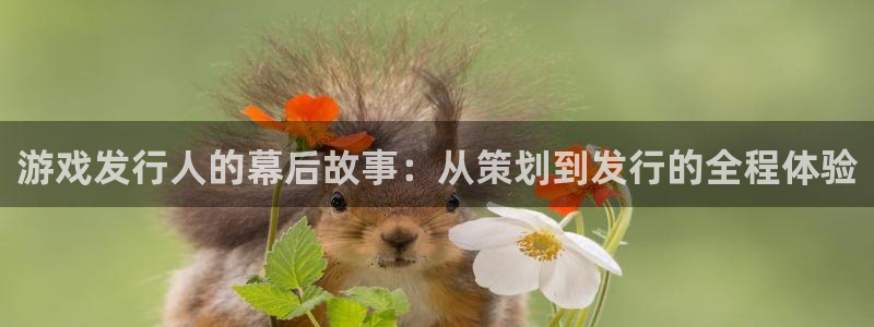 db电竞户外：游戏发行人的幕后故事：从策划到发行的全程体验