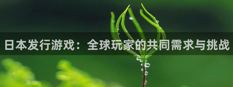 广州db电竞网络科技有限公司电话：日本发行游戏：全球玩家的共同需求与挑战