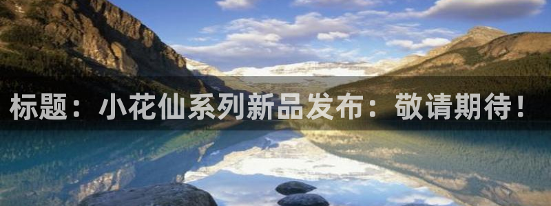 db电竞子经理人读后感：标题：小花仙系列新品发布：敬请期待！