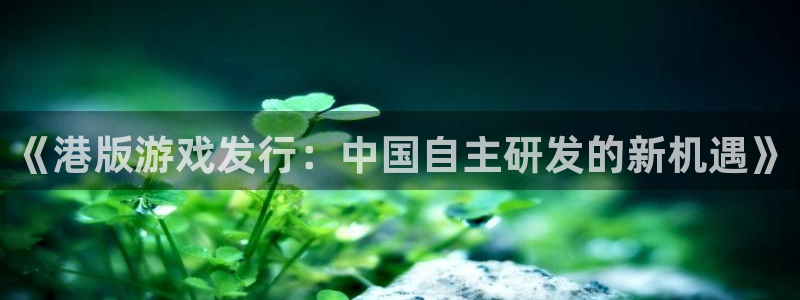 db电竞官网平台代理条件怎么样：《港版游戏发行：中国自主研发的新机遇》