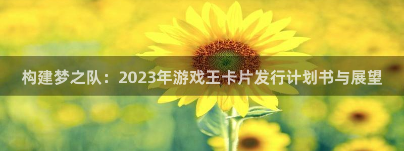 db电竞官网登录注册账号是什么意思：构建梦之队：2023年游戏王卡片发行计划书与展望