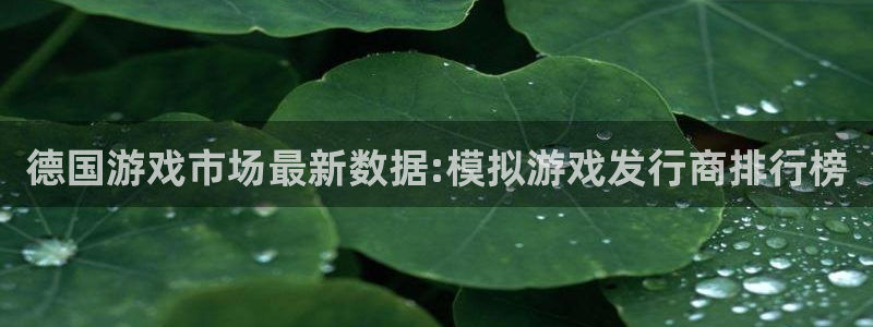 db电竞衣服怎么样：德国游戏市场最新数据:模拟游戏发行商排行榜