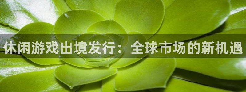 db电竞技术有限公司官网