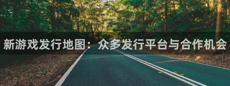 db电竞啤酒多少钱一箱：新游戏发行地图：众多发行平台与合作机会