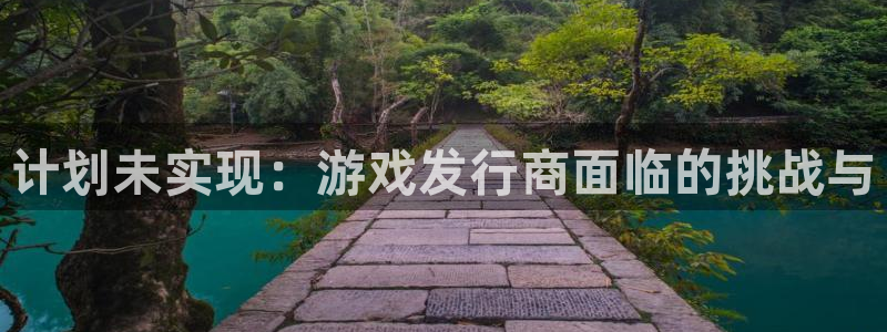 法国db电竞lvnces是奢侈品吗：计划未实现：游戏发行商面临的挑战与