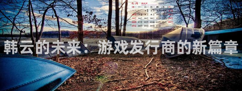 db电竞电子商务：韩云的未来：游戏发行商的新篇章