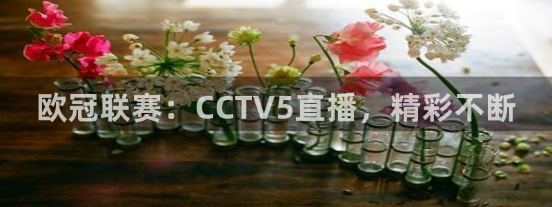 玩球直播app免费下载：欧冠联赛：CCTV5直播，精彩不断