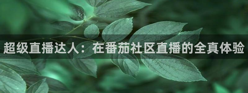 玩球直播官网nba直播免费观看