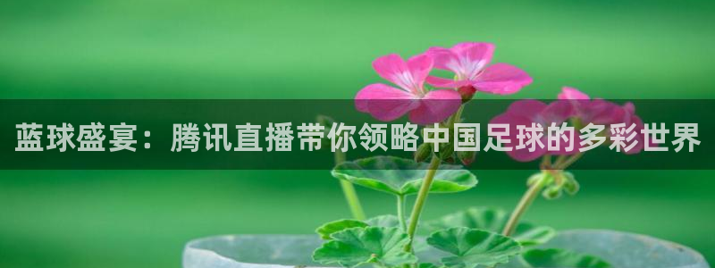 nba总决赛玩球直播：蓝球盛宴：腾讯直播带你领略中国足球的多彩世界