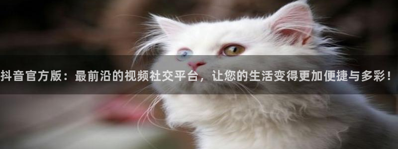 玩球直播app免费下载：抖音官方版：最前沿的视频社交平台，让您的生活变得更加便捷与多彩！