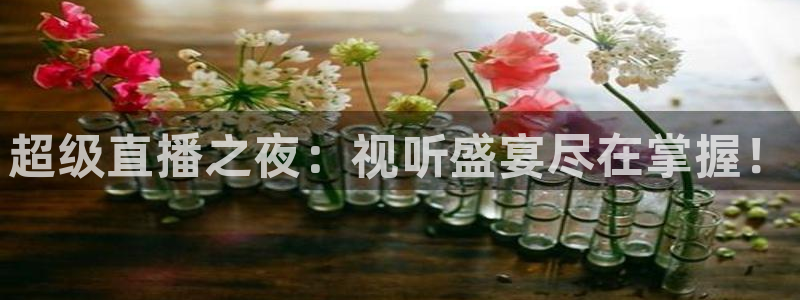 玩球直播在线观看：超级直播之夜：视听盛宴尽在掌握！
