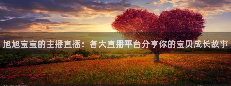 玩球体育直播app：旭旭宝宝的主播直播：各大直播平台分享你的宝贝成长故事