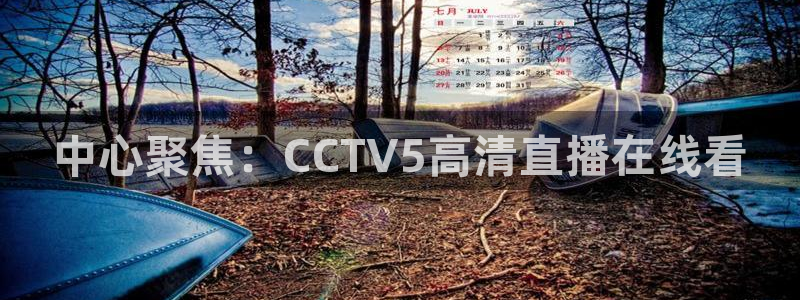 nba玩球直播手机在线直播：中心聚焦：CCTV5高清直播在线看