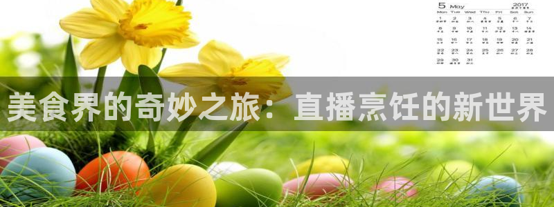 玩球直播最新版