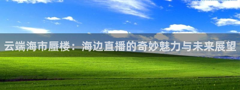 玩球视频