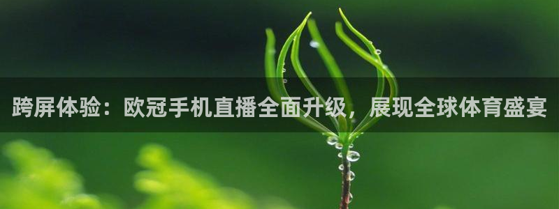 玩球直播wqzb
