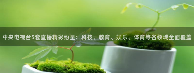 玩球直播(免费版)：中央电视台5套直播精彩纷呈：科技、教育、娱乐、体育等各领域全面覆盖